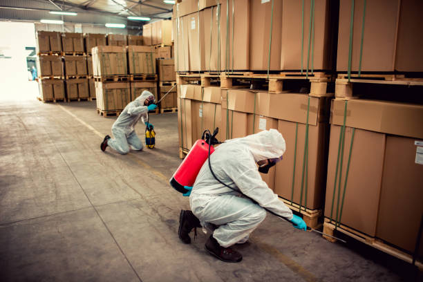 Best Bed Bug Extermination  in Franklin, CA
