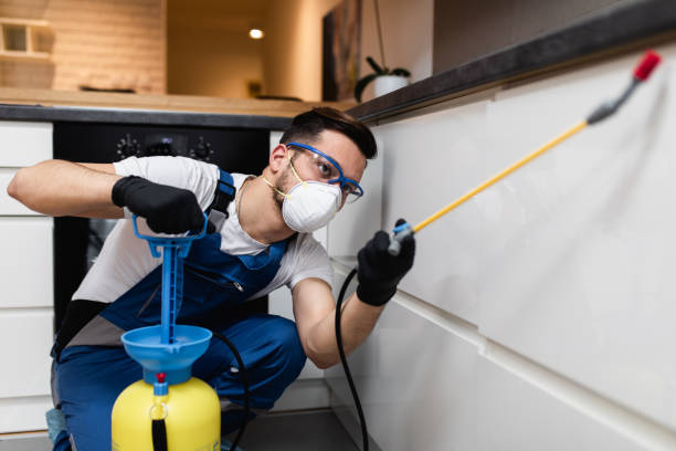 Best Exterminator Services  in Franklin, CA