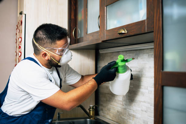 Best Commercial Pest Control Services  in Franklin, CA