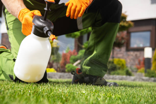 Best Pest Prevention Services  in Franklin, CA