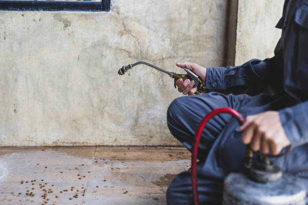 Best Pest Removal Services  in Franklin, CA